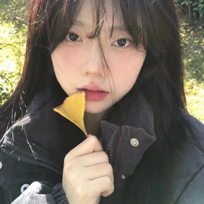 366日